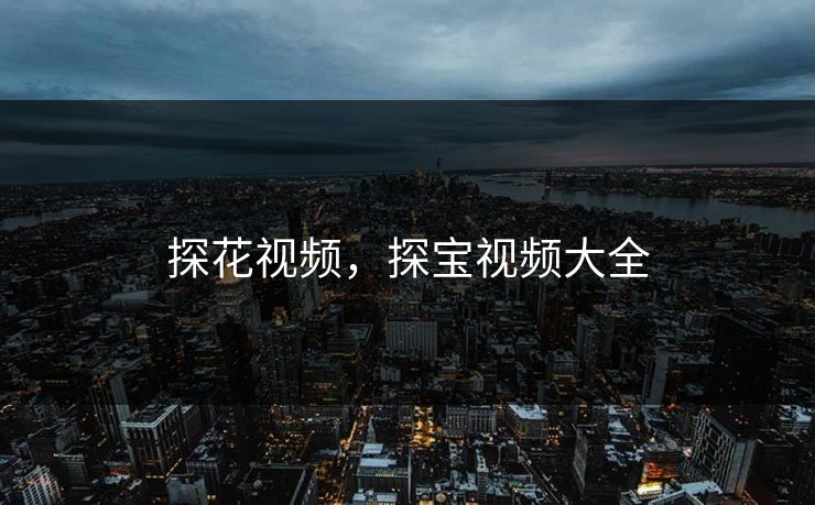 探花视频，探宝视频大全