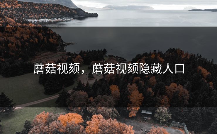 蘑菇视颏，蘑菇视颏隐藏人口