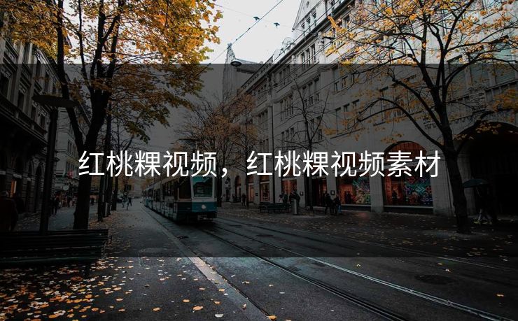 红桃粿视频，红桃粿视频素材