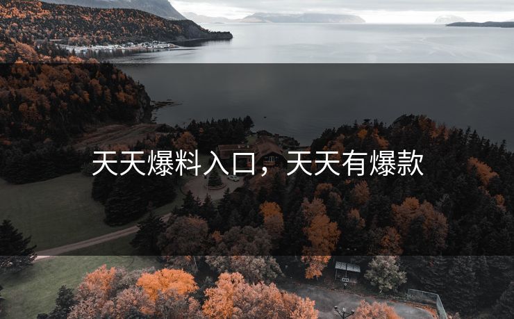 天天爆料入口，天天有爆款