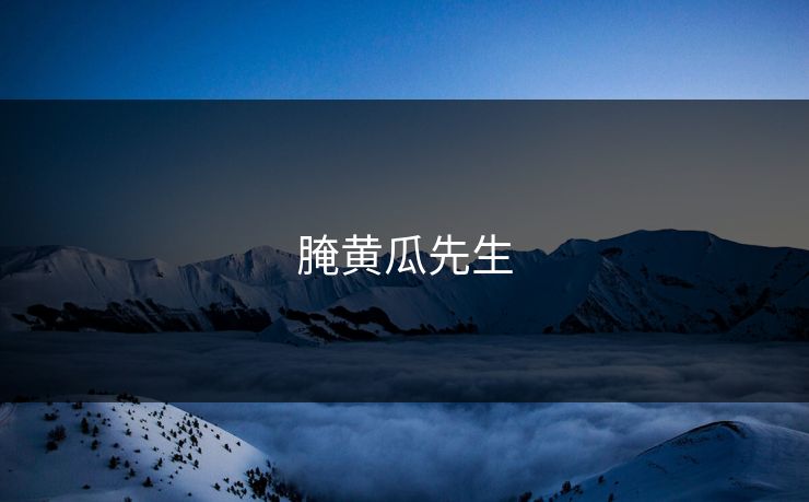 腌黄瓜先生