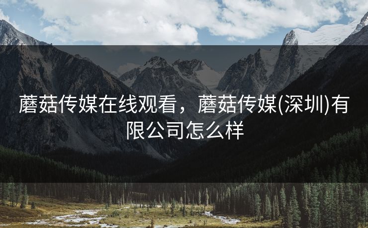 蘑菇传媒在线观看，蘑菇传媒(深圳)有限公司怎么样